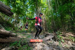 BIB: 
                            <button type="button" onclick="openModal(19390865)" class="btn btn-primary btn-sm float-right btn-popup" data-toggle="modal" data-target=".modal-high-quality">
                        <i class="fas fa-shopping-cart"></i> Add to Cart
                    </button>
                                            <button type="button" onclick="isThisMe(19390865, true)" class="btn btn-success btn-sm float-right btn-popup btn-isme hidden" data-toggle="tooltip" data-placement="bottom" title="นี่คือรูปของคุณใช่ไหม คลิกที่นี่เพื่อเอาเข้าอัลบั้ม">
                        <i class="fas fa-plus"></i> Add to album
                    </button>
                    <button type="button" onclick="isThisMe(19390865, false)" class="btn btn-warning btn-sm float-right btn-popup btn-isnotme hidden">
                        <i class="fas fa-ban"></i> Remove from album
                    </button>